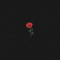 «S C A R L E T»